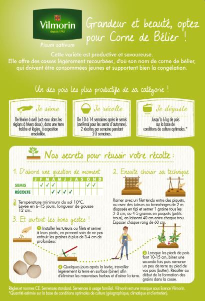 Légumes Secs - Pois Mangetout Corne de Bélier - 20 m - MEDIA_PACKAGING_VERSO